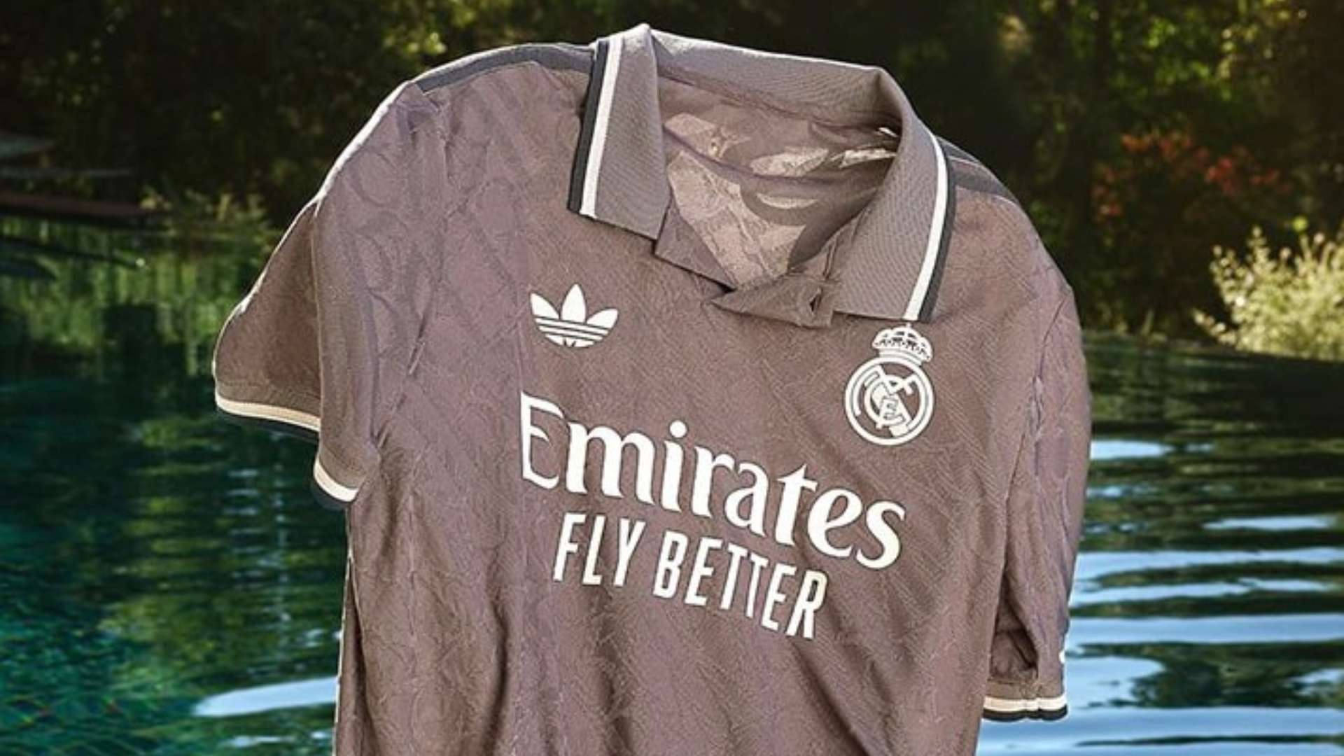 将已购门票 将已购门票