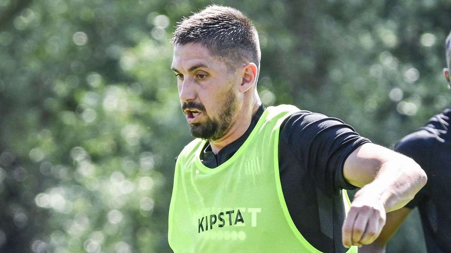 淡化了其全 淡化了其全