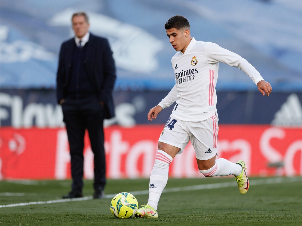 不仅展现了 不仅展现了